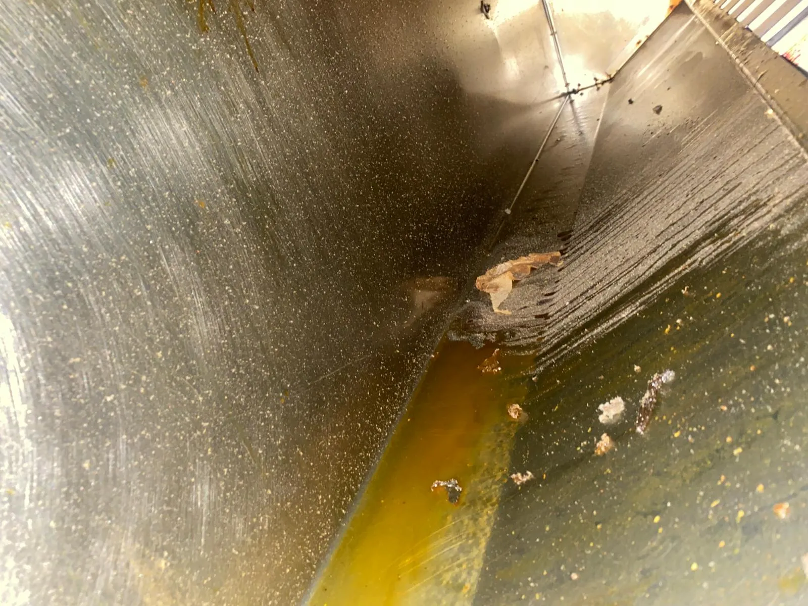Canopy plenum and filters before cleaning, heavily coated in grease