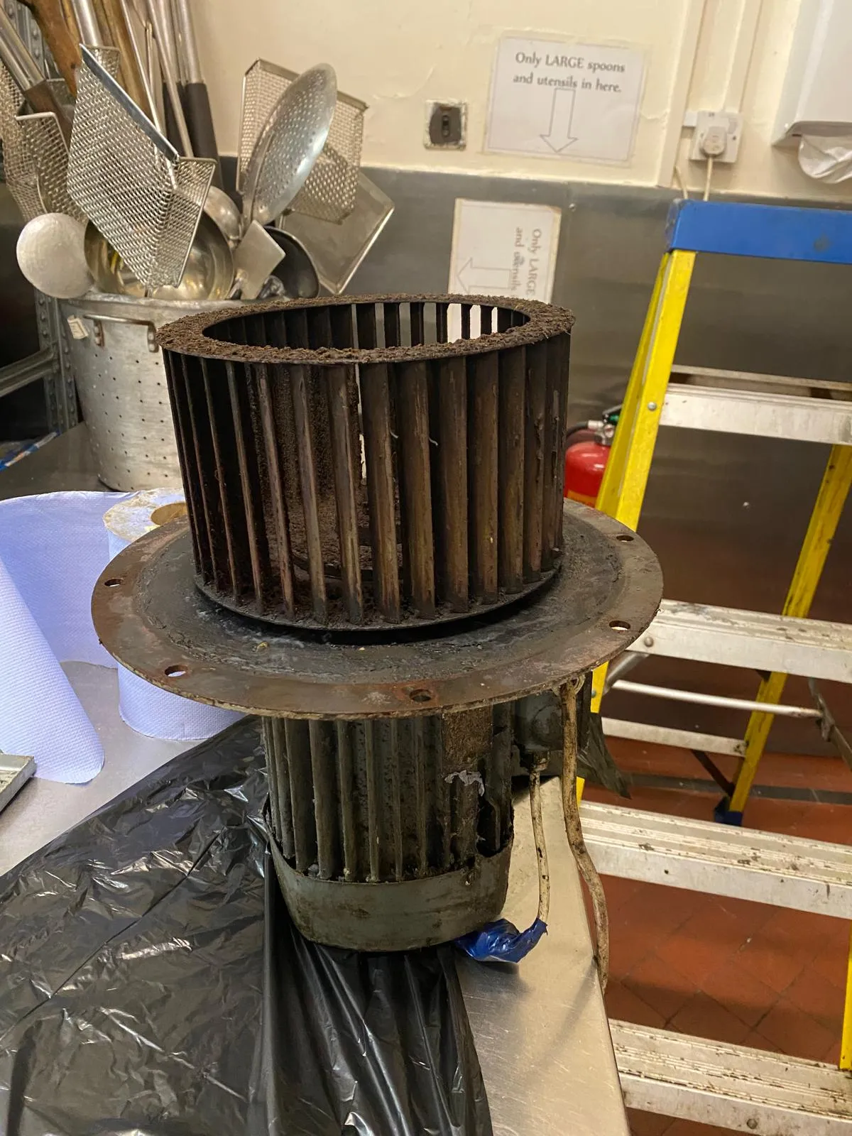Extract fan impeller before cleaning, caked in grease